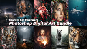 Photoshop Digital Art Bundle by Zenja Gammer