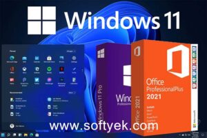 Windows 11 Pro Free Download